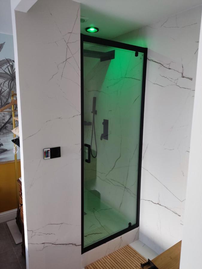 Superbe appartement avec jacuzzi avec jardin privé Lyon Exterior foto