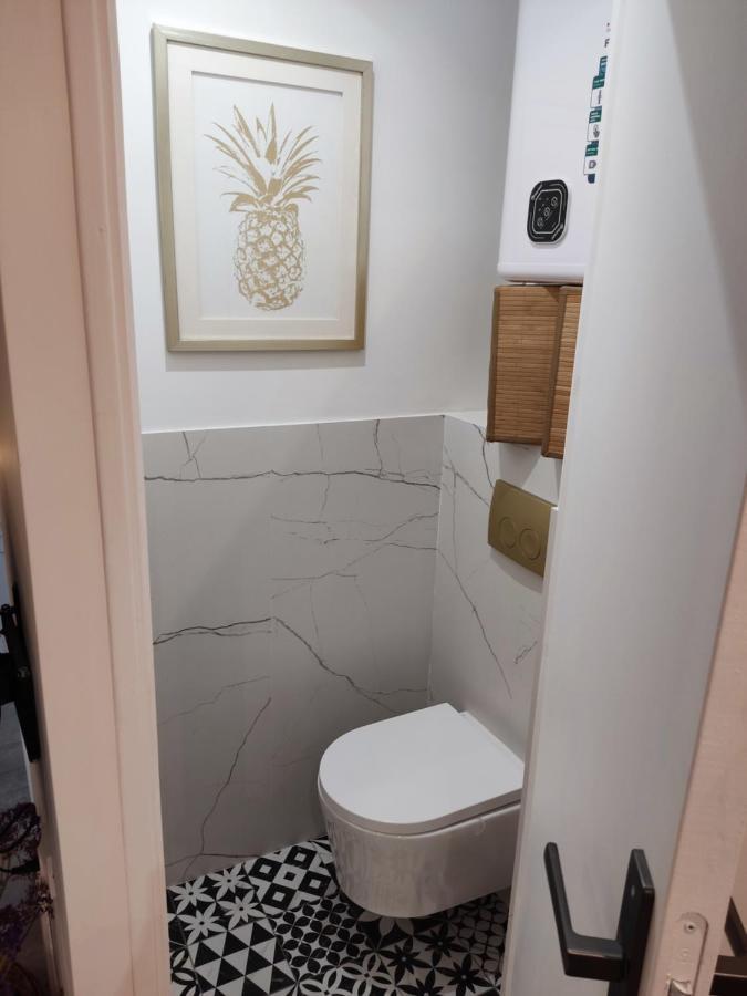 Superbe appartement avec jacuzzi avec jardin privé Lyon Exterior foto